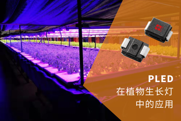 Applied in plant growth lamps